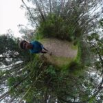 Blog caminando lw
